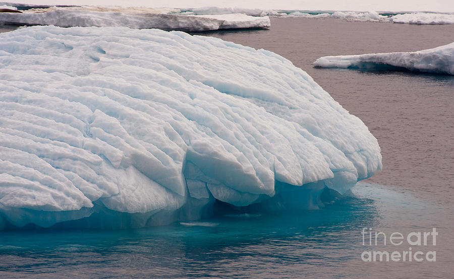 Iceberg Photograph by John Shaw