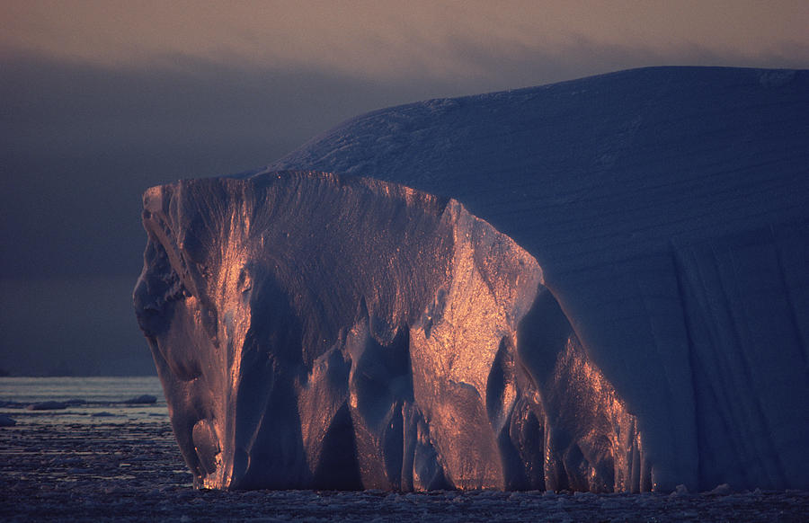 Iceberg Near Palmer Peninsula Antarctica Photograph by Flip Nicklin