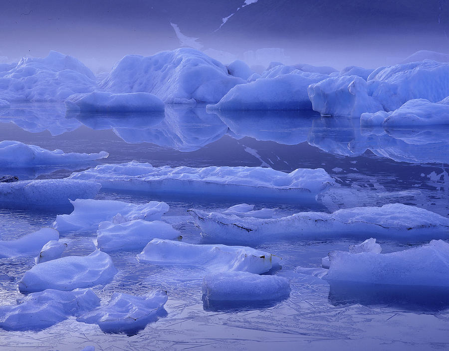 Spring Photograph - Icebergs & Fog Portage Lake by Vance Gese