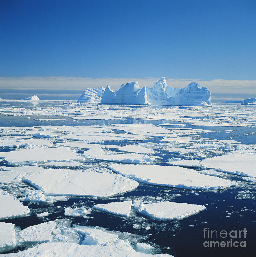 Icebergs And Pack Ice, Antarctica Photograph by Gregory G. Dimijian, M.D.
