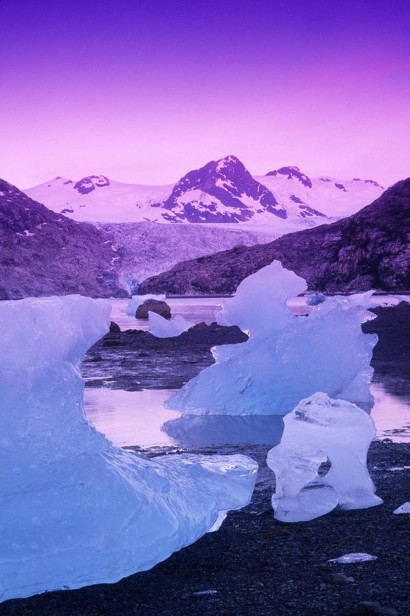 Icebergs At Nellie Juan Glacier Photograph by Kevin Smith | Fine Art ...