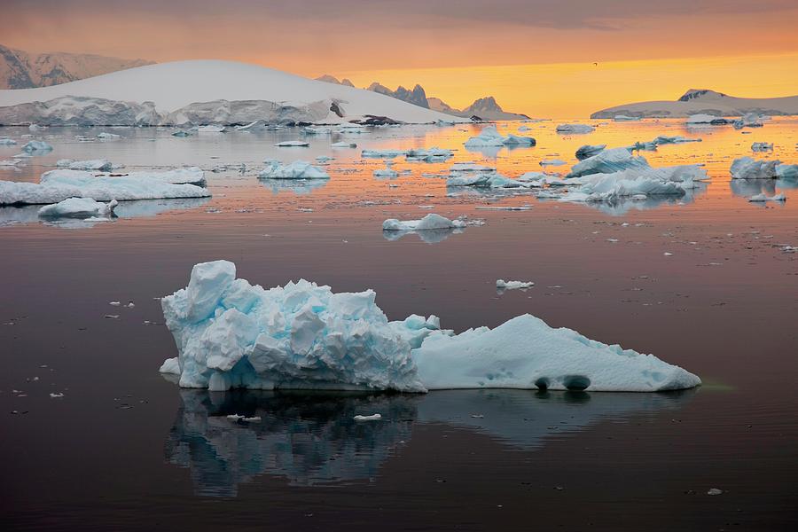 Icebergs In Antarctica Photograph by Peter Menzel/science Photo Library ...