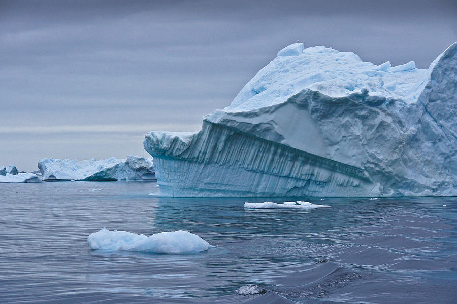 Icebergs in Blue No. 1 Photograph by Michele Burgess