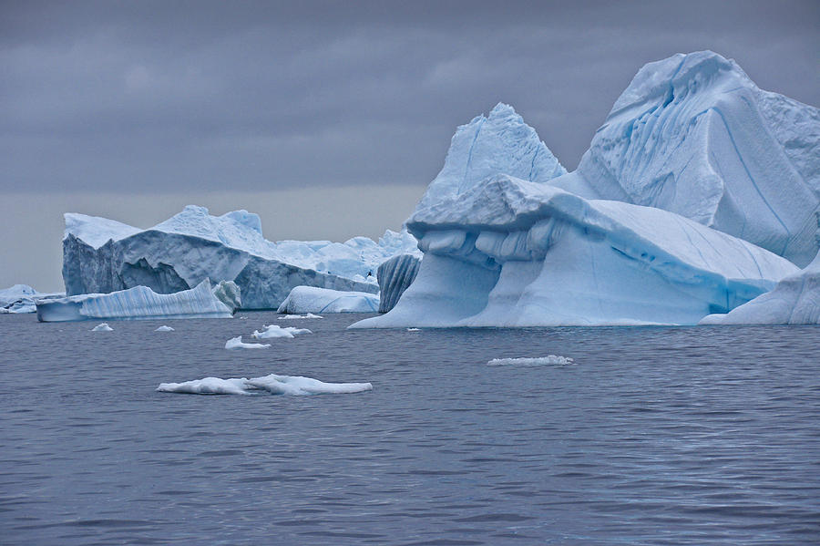 Icebergs in Blue No. 5 Photograph by Michele Burgess