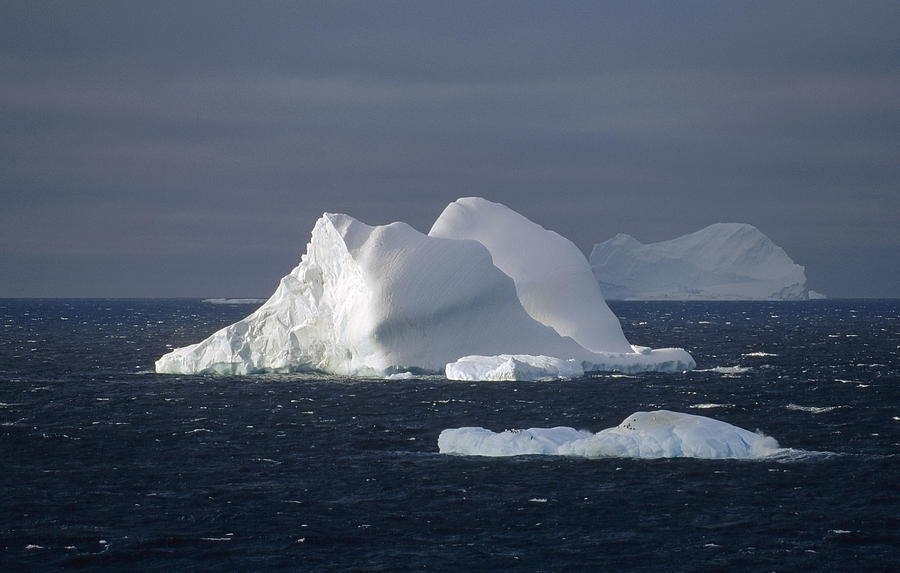 Icebergs In Open Ocean Antarctica Photograph by Konrad Wothe