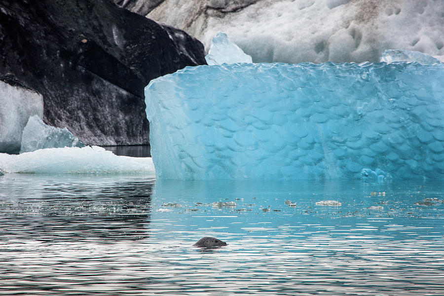 Icebergs In†jokulsarlon†glacier Photograph by Steele Burrow - Fine Art ...