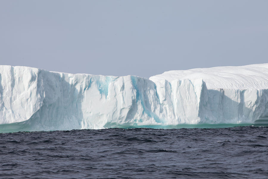 Icebergs, Kings Cove, Newfoundland Photograph by Greg Johnston - Fine ...