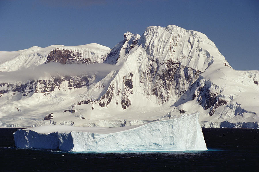 Icebergs Northern Tip Of The Antarctic Photograph by Gerry Ellis