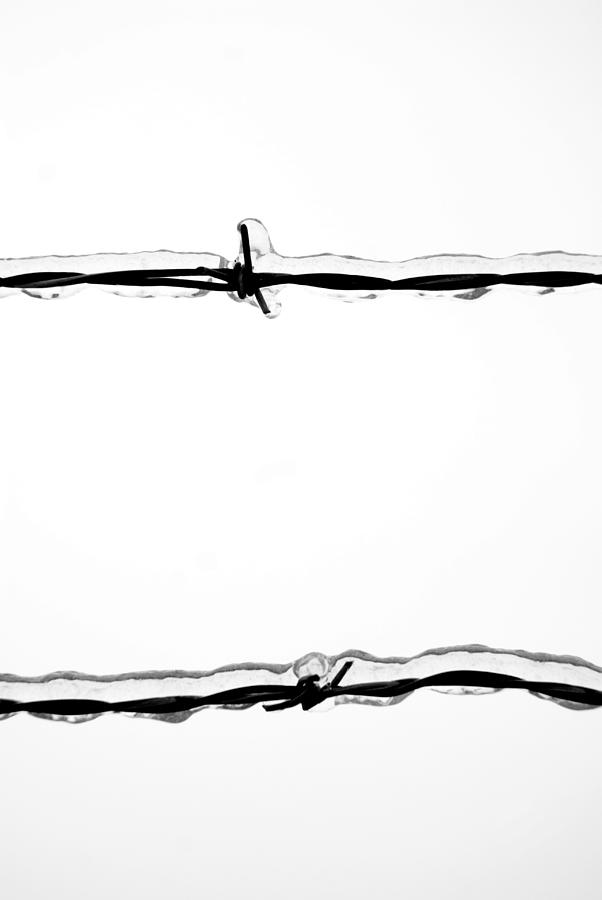 Ice Photograph - Iced Wire by Jessica Wakefield Ice Photograph - Iced Wire by Jessica Wakefield