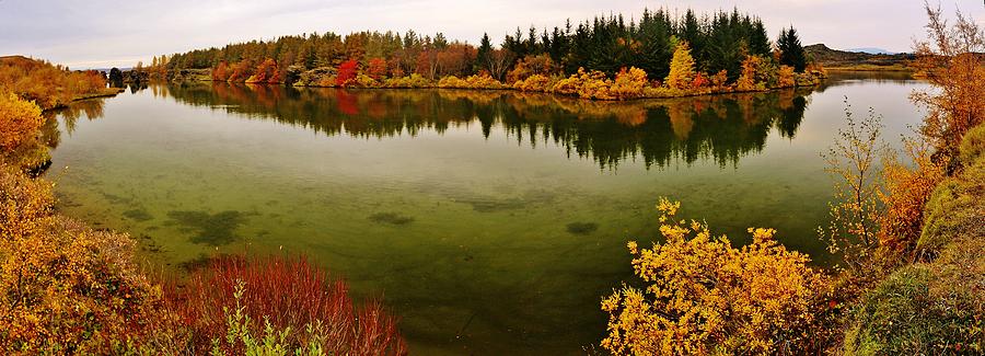 Nature Photograph - Icelandic Autumn Forest by David Broome