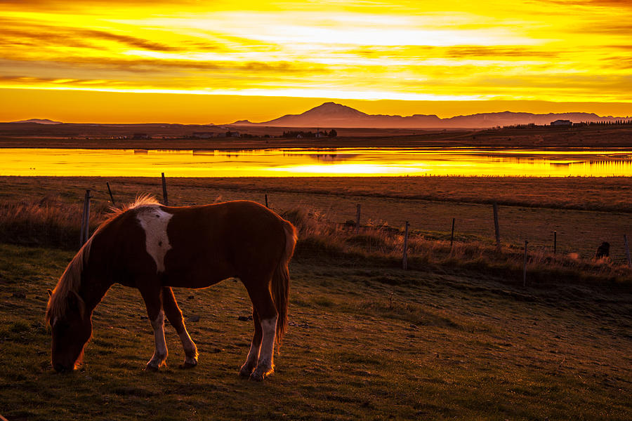 Icelandic Sunrise Photograph by Levin Rodriguez