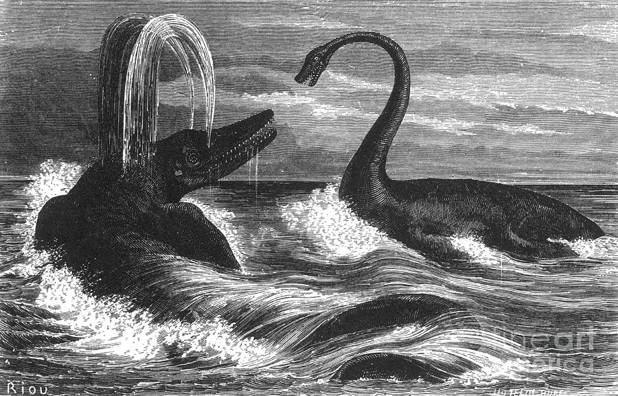 Ichthyosaurus And Plesiosaurus Photograph by Science Source
