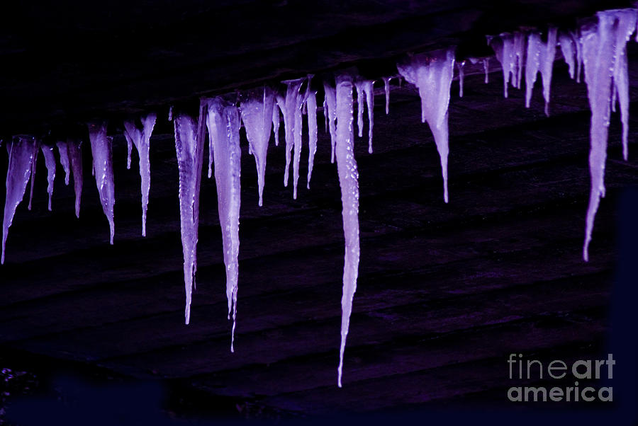 Winter Photograph - Icicle 4 by Jim Wright