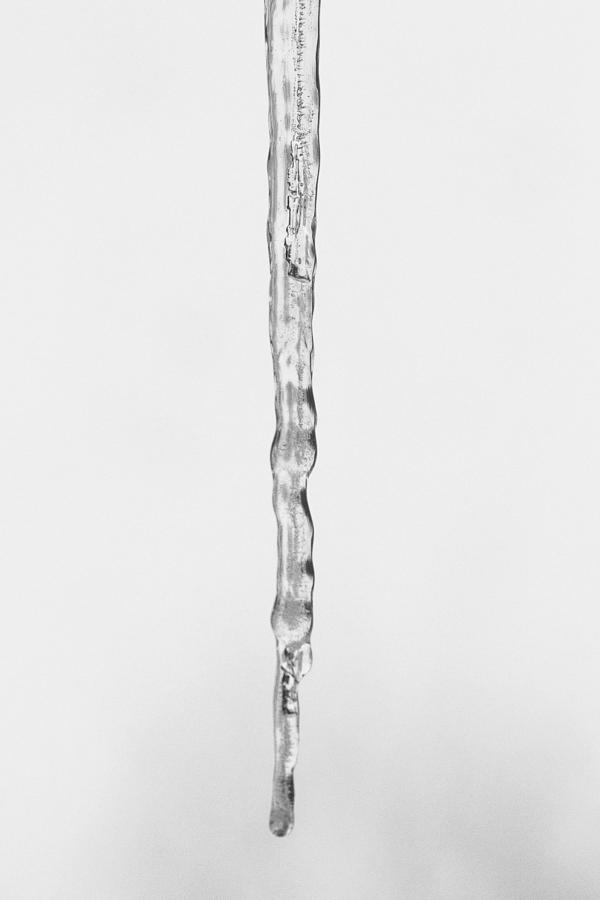 Icicle Photograph by Allan Morrison