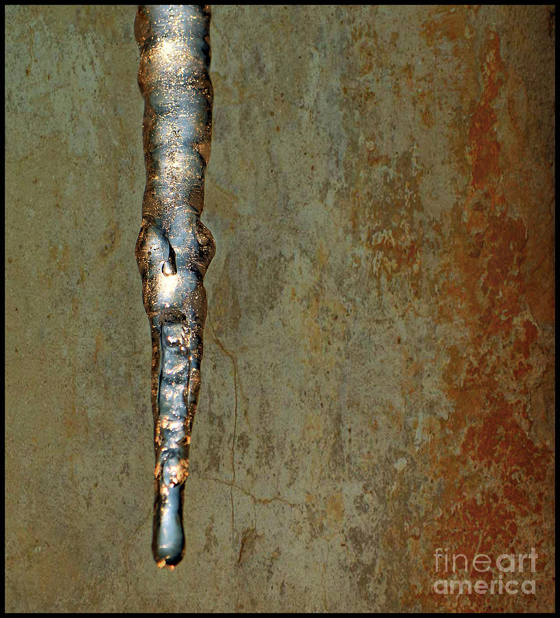 Icicle Photograph by Beth Ferris Sale