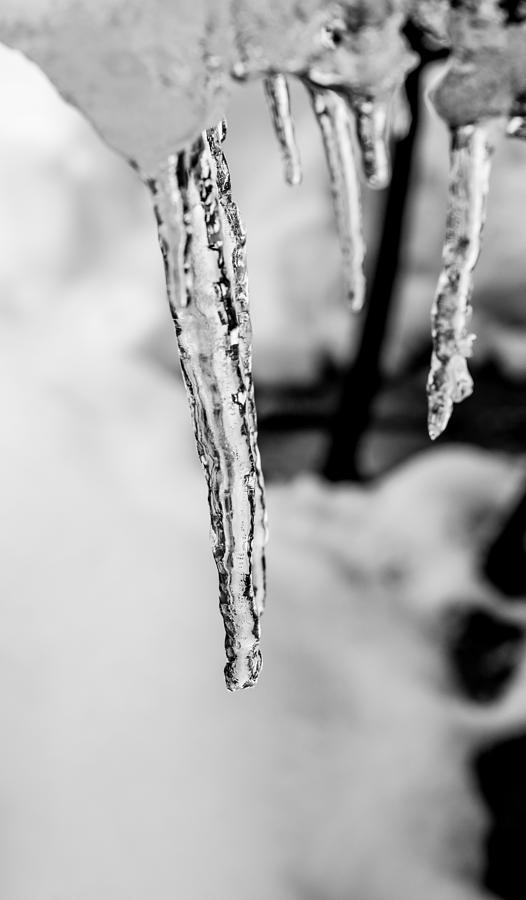 Lamp Photograph - Icicle Black and White by Photographic Arts And Design Studio