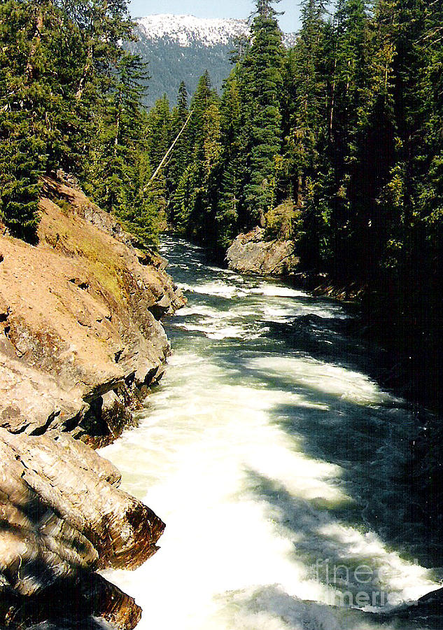 Icicle Creek - Washington Cascades Photograph by Charles Robinson