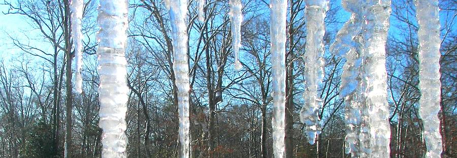 Icicle Formations Photograph by Pamela Hyde Wilson