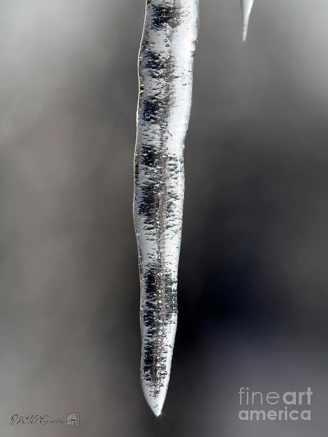 Icicle Photograph by J McCombie