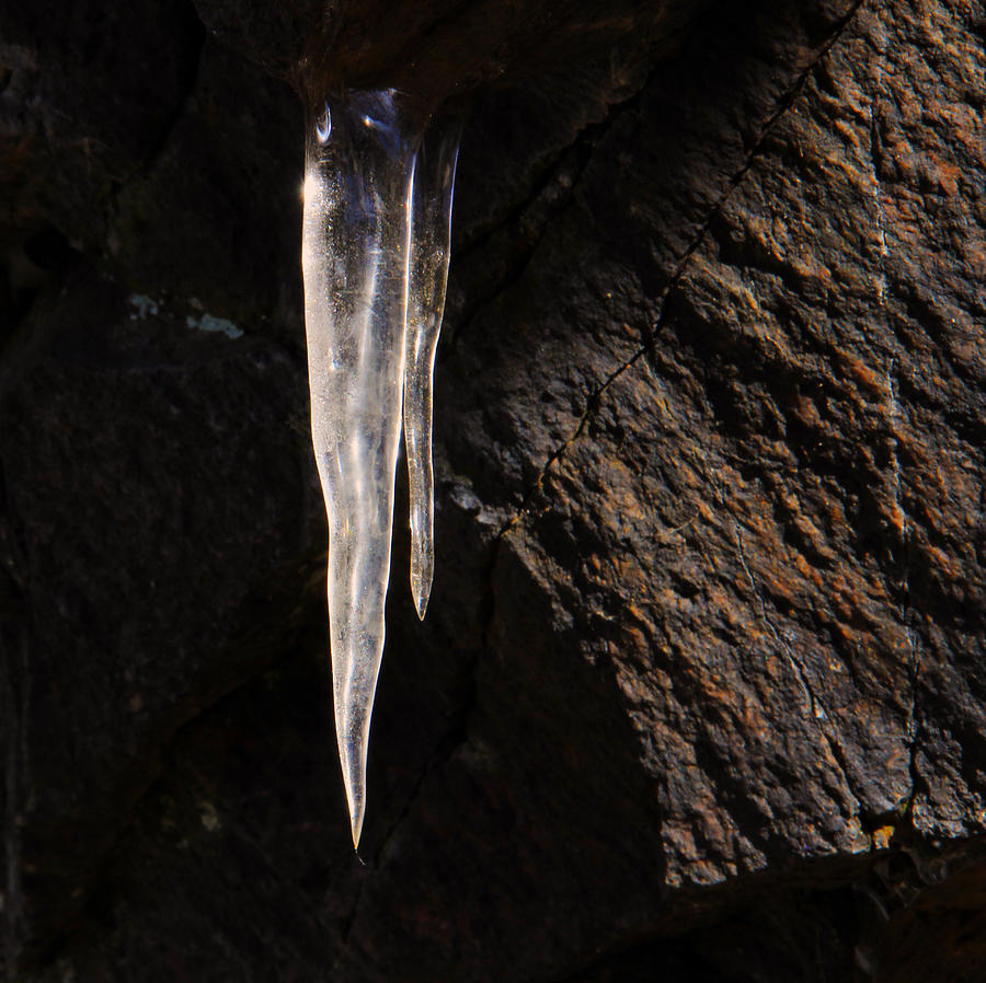 Icicle Photograph by Jim Vance