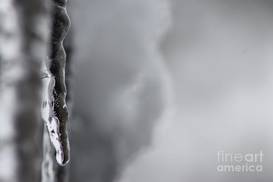 Icicle Photograph by Leone Lund