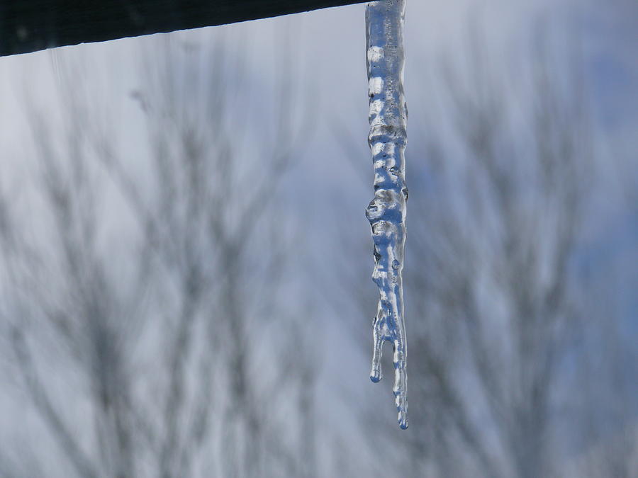 Winter Photograph - Icicle Morning by Jacquelyn Roberts