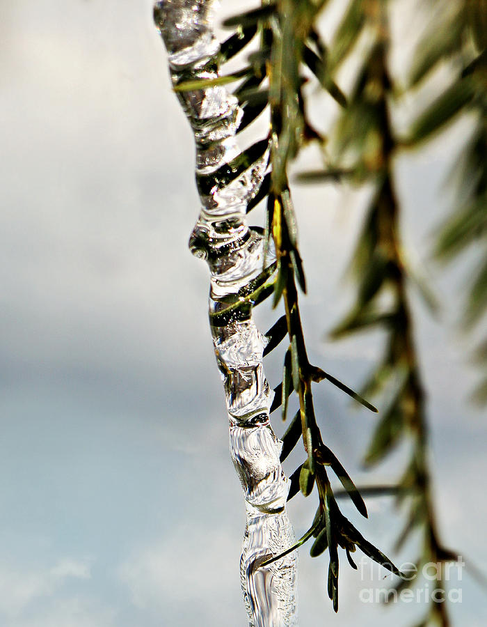 Icicle swirl Photograph by Beth Ferris Sale