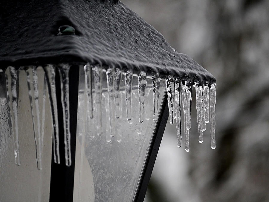 Icicles - Lamp Post 3 Photograph by Richard Reeve