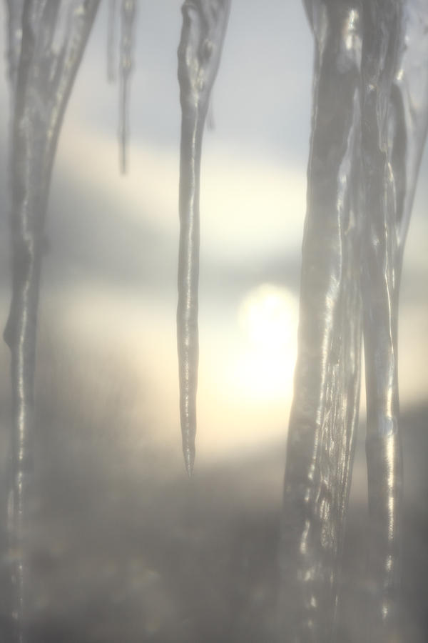 Icicles at sunset Photograph by Ulrich Kunst And Bettina Scheidulin