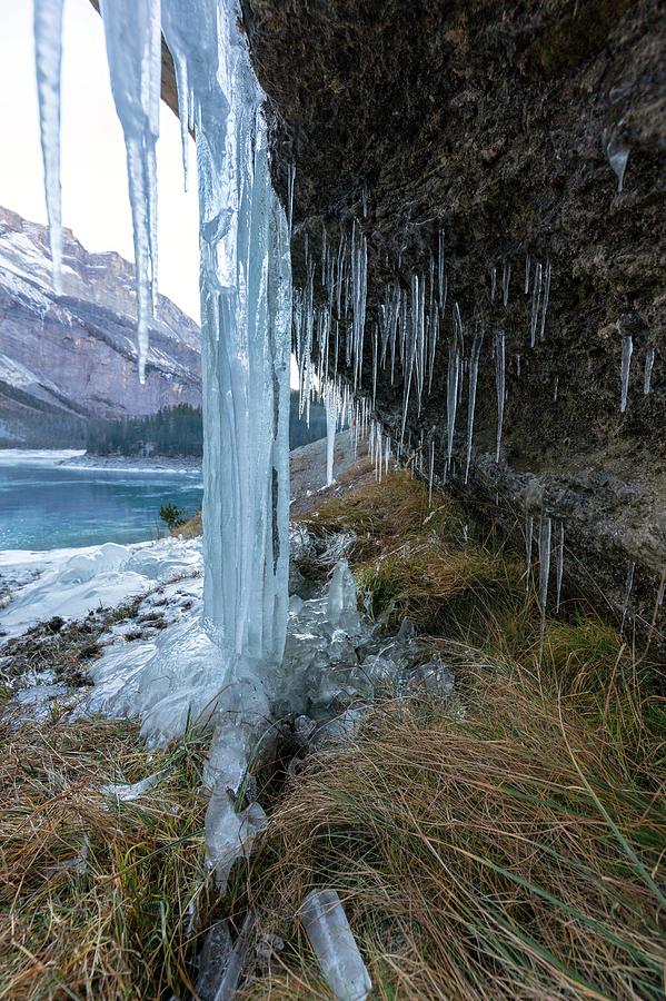 Icicles By A Frozen Waterfall In The Swiss Alps Photograph by Michael Szoenyi/science Photo Library