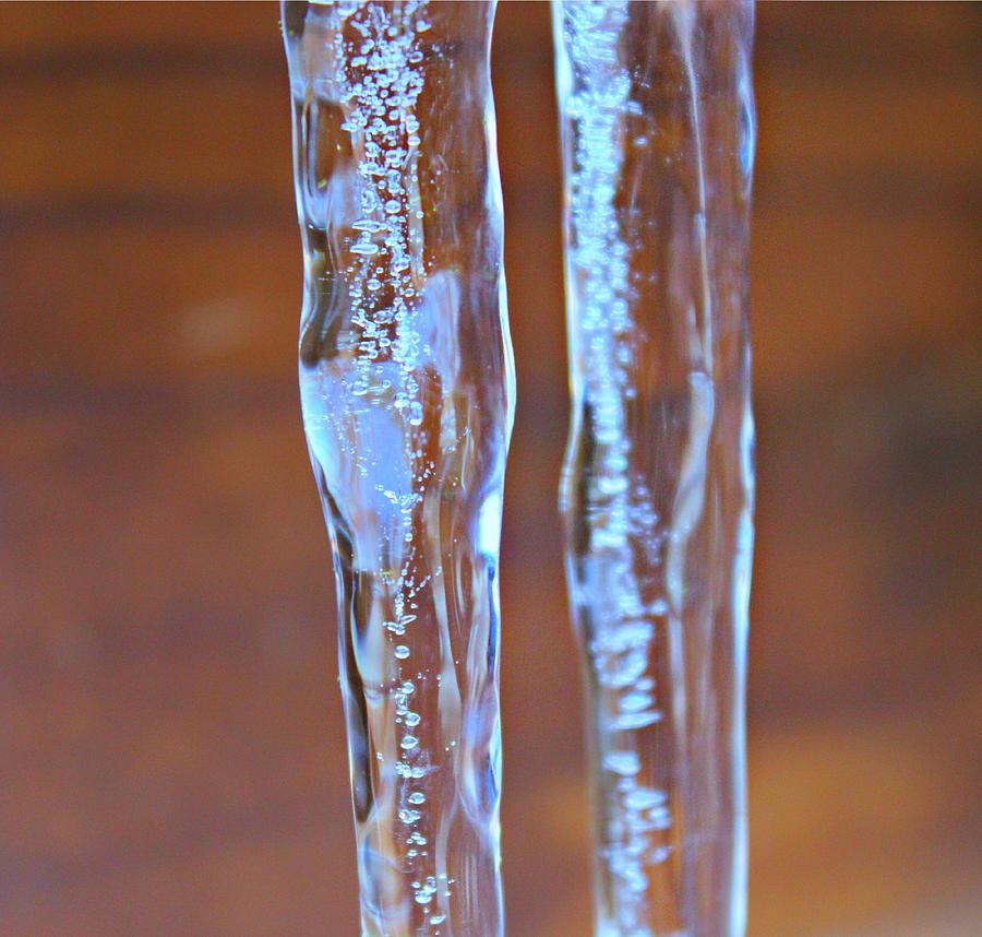 Winter Photograph - Icicles by Candice Trimble