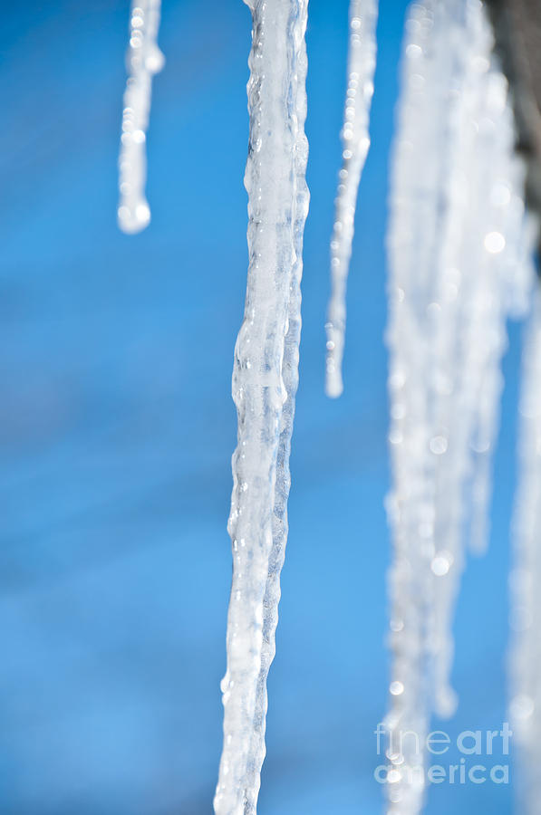 Icicles Photograph by Cheryl Baxter