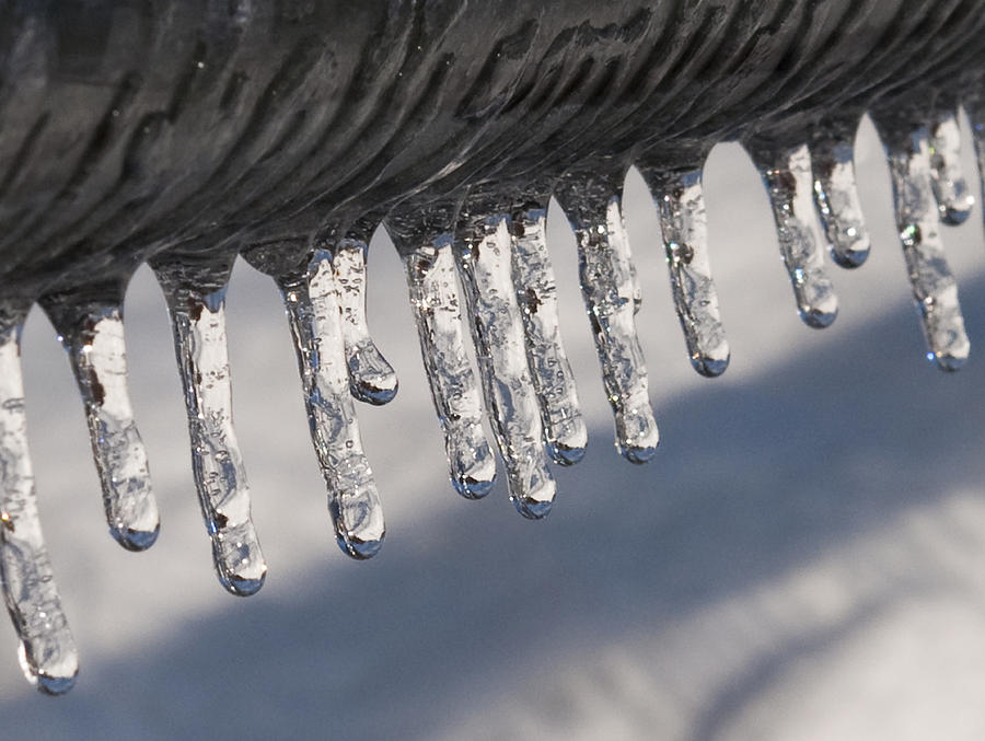 Winter Photograph - Icicles by Donna Doherty