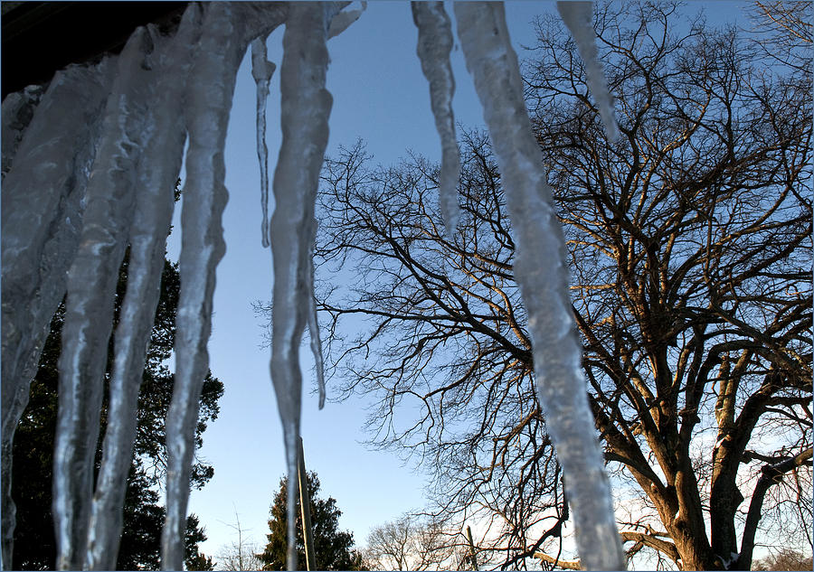 Winter Photograph - Icicles Dream 1 by Alida Thorpe