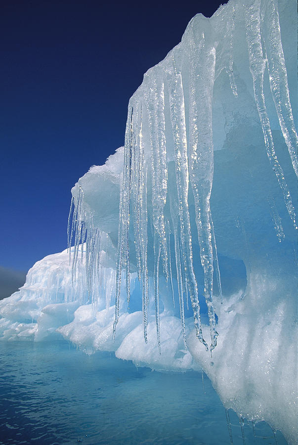 Nature Photograph - Icicles Hanging From Iceberg Petermann by Colin Monteath