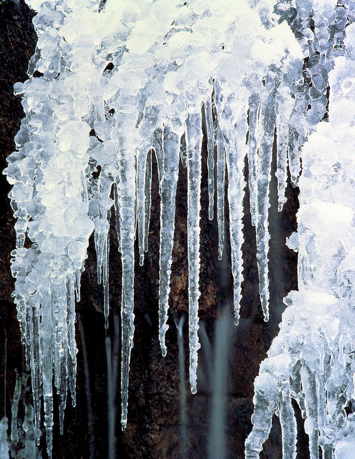 Icicles Hanging Off Rock by Simon Fraser/science Photo Library