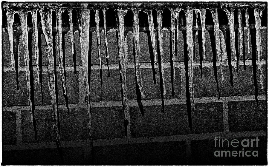 Winter Photograph - Icicles by Henry Kowalski