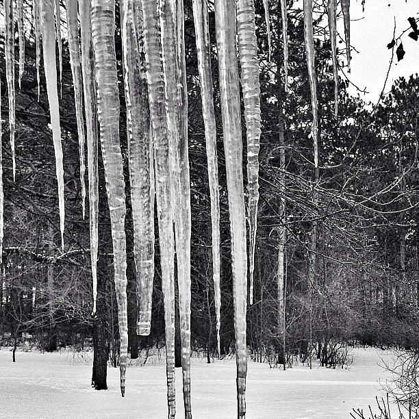 Igers Photograph - Icicles In Black And White by Rachel Z