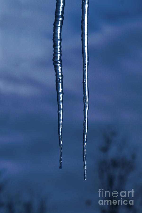 Icicles In The Moonlight Photograph by James Eddy