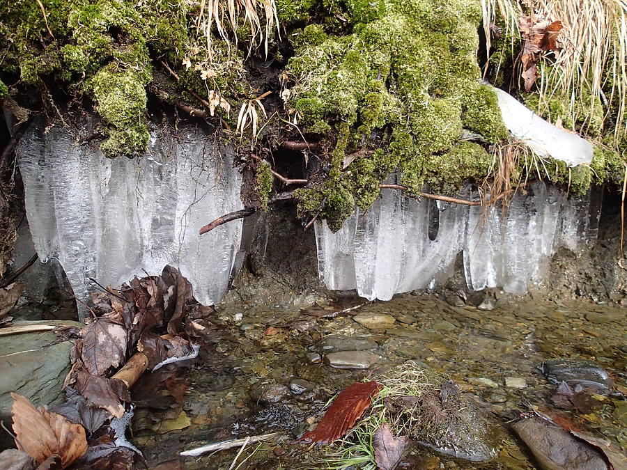 Icicles in The Stream Photograph by Robert Nickologianis