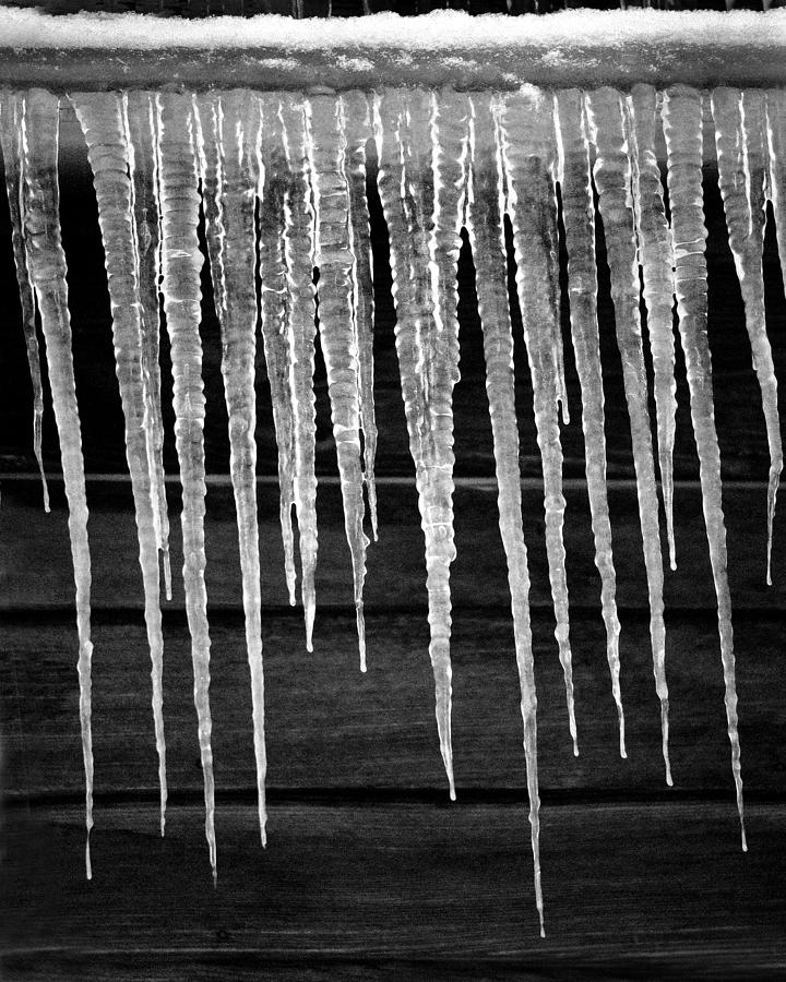 Icicles Photograph by Jamieson Brown