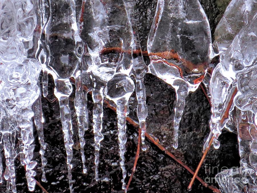 Icicles Closeup Photograph by Janice Drew