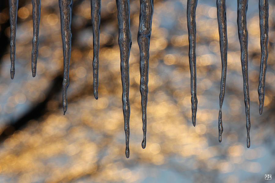 Icicles Photograph by John Meader