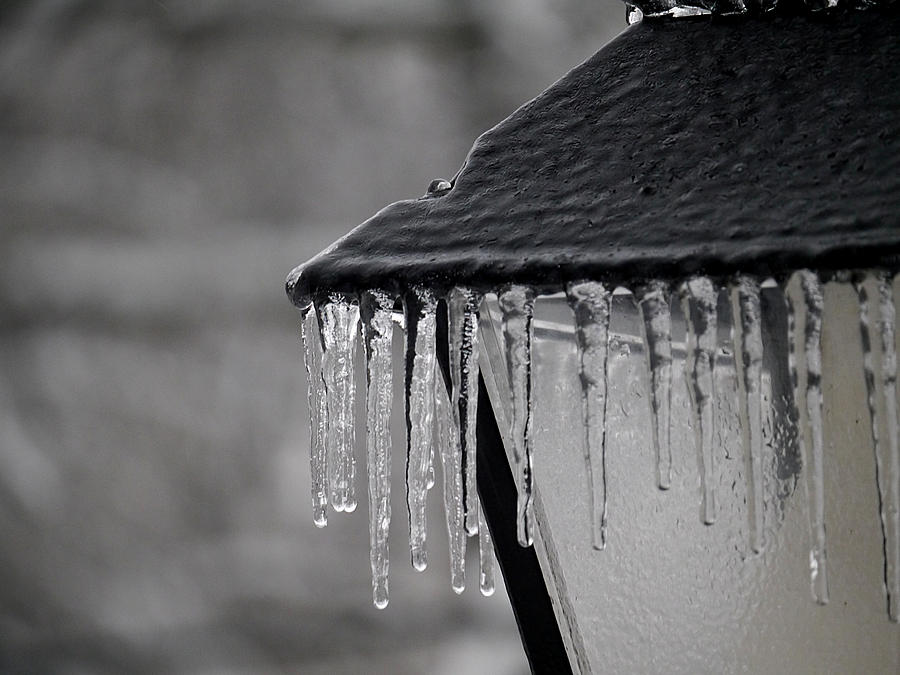 Icicles - Lamp Post 2 Photograph by Richard Reeve