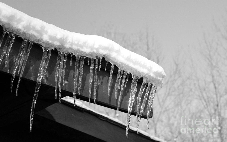 Icicles Photograph by Margaret Hamilton