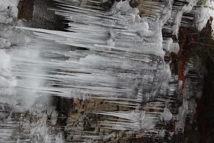Icicles  Photograph by Michelle Lawrence