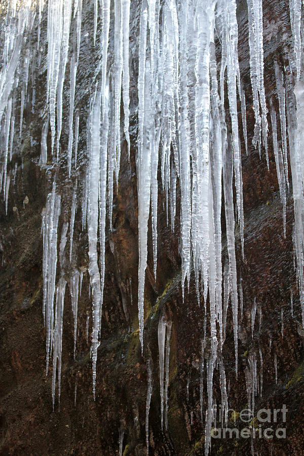 Icicles on a cliff Photograph by Dwight Cook