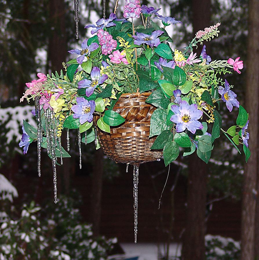 Winter Mixed Media - Icicles on my Flowers by Janet Ashworth