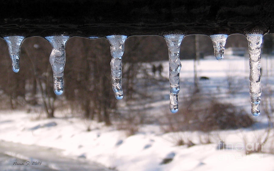 Icicles on the bridge Photograph by Nina Silver