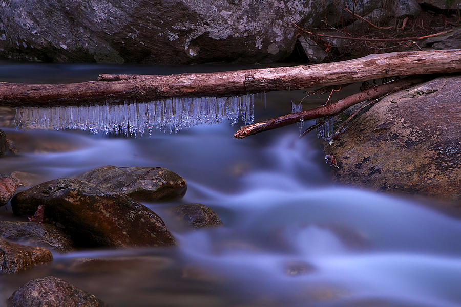 Icicles on the River Photograph by Mark Steven Houser